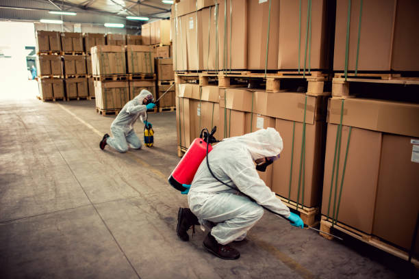 Best Pest Prevention Services  in Westke, LA
