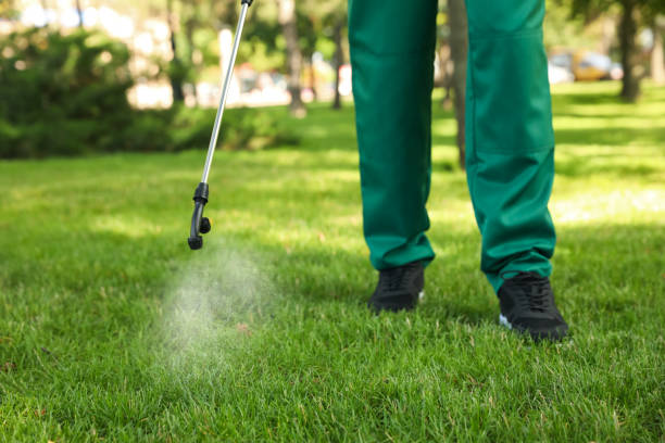 Best Best Pest Control Companies  in Westke, LA