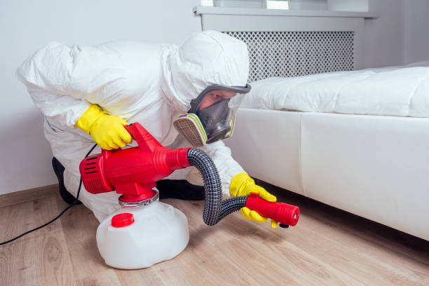 Best Wasp Removal Services  in Westke, LA