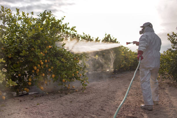 Best Local Pest Control Services  in Westke, LA
