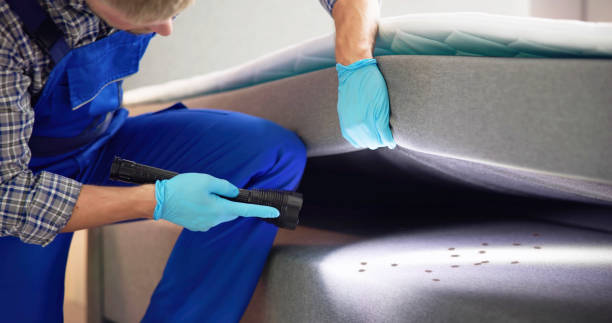 Best Pest Removal Services  in Westke, LA