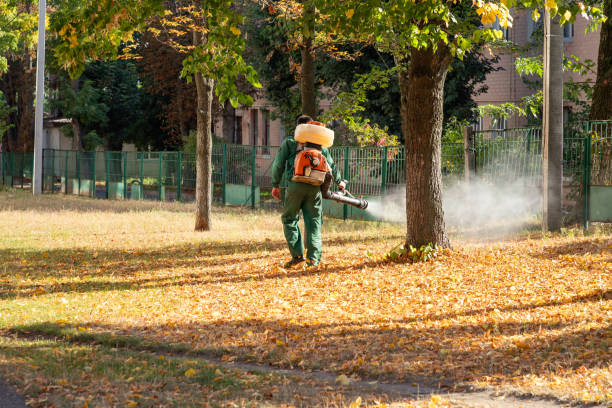 Best Pest Control for Restaurants  in Westke, LA