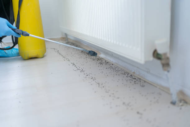 Best Mosquito Control Services  in Westke, LA