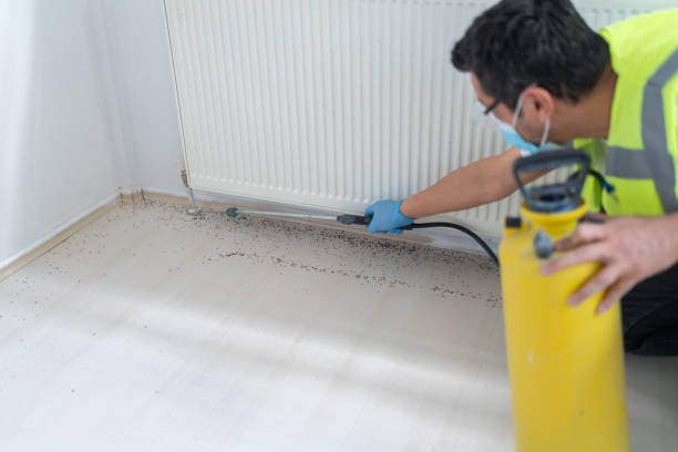 Professional Pest Control in Westlake, LA
