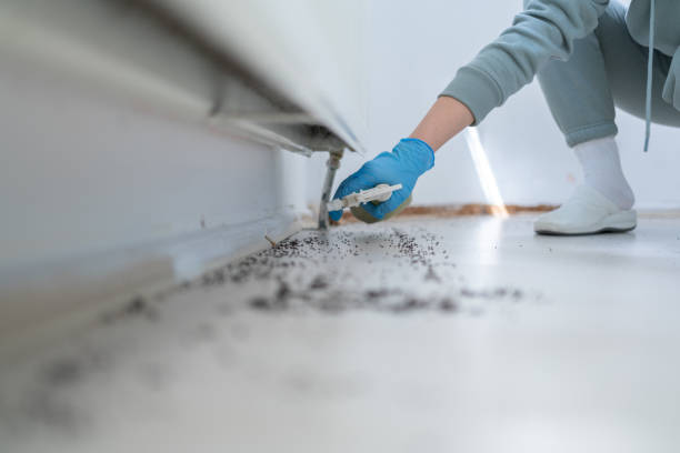 Pest Control for Restaurants in Westlake, LA